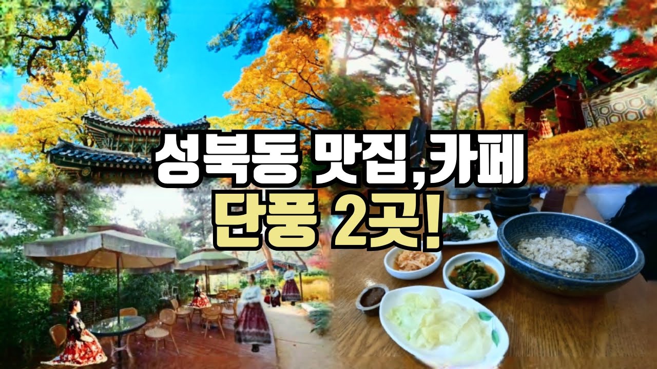 🍁 성북동 분위기 좋은 맛집,카페 단풍명소 2곳 🚩 느린 걸음으로 3시간 감성여행 코스