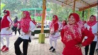 Senam Indonesia Maju 