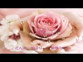 ~Butterfly~   Naomile