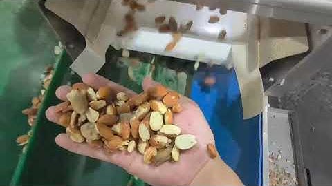 AMD almonds sortex/sorting machine to reject wormholes, mold, damage, shells containing kernels...