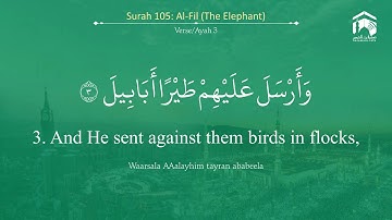 Quran 105 Surah Al Fil سورة الفيل Sheikh Salah Al Budair