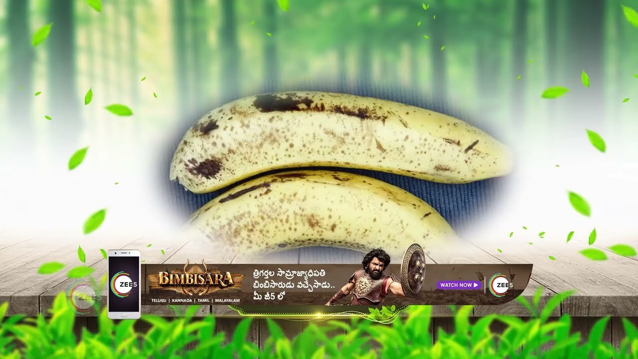 Aarogyame Mahayogam - Health Show - Dr Manthena Satyanarayana - Best Scene 727 - Zee Telugu