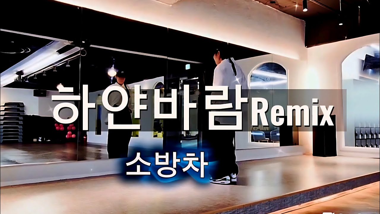 하얀바람Remix  | 소방차| 다이어트댄스. #zn댄스 #단장님안무