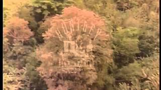 Operation Drake: Panama Basecamp and Surrounding Area, 1979 - Film 49275