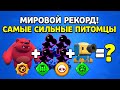 МИРОВОЙ РЕКОРД! САМЫЕ СИЛЬНЫЕ ПИТОМЦЫ БРАВЛ СТАРС!