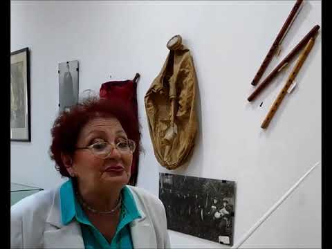 ექსკურსია საკრავების მუზეუმში კავკასიური სახლის სახალხო უნივერსიტეტის მსმენელებისათვის, ნაწილი I