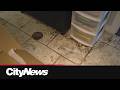 Storm waters flood residential basements