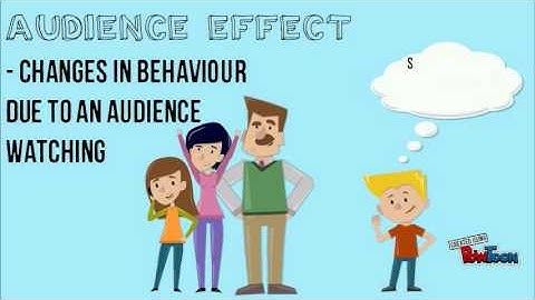 Participant Observations