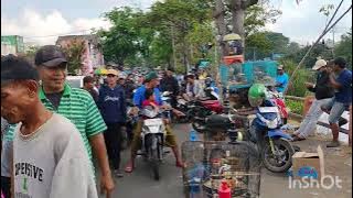 Review of Surabaya's Petekan Bird Market. Buy Cucak Ijo here, ALWAYS A CHAMPION IN SINGING COMPET...