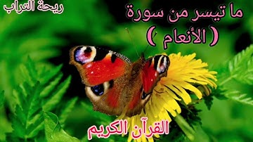 القرآن الكريم سورة الأنعام بصوت جميل جدا جدا