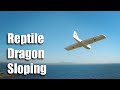 Reptile Dragon Sloping