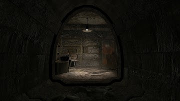 S.T.A.L.K.E.R. CoC Demofen Atmosphere - The Collector