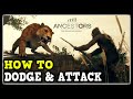 Ancestors: The Humankind Odyssey How to Attack & How to Dodge (Combat Tips and Tricks)