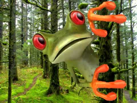 funny-birthday-song-tango-the-tree-frog-youtube