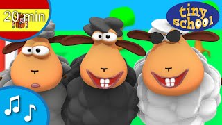 Baa Baa ovejas negras - Colección canción infantil para los niños - Tinyschool Español - 20 min