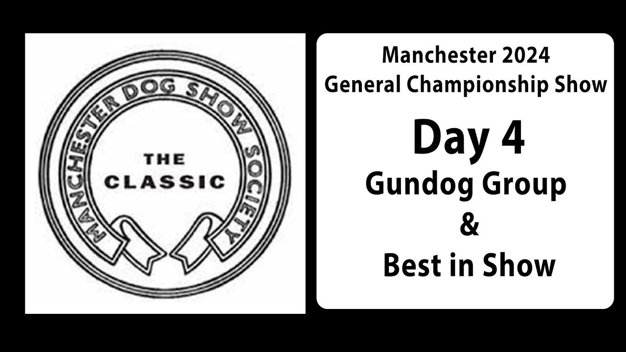 Manchester Championship Dog Show 2024 Day 4 Gundog Group and Best in