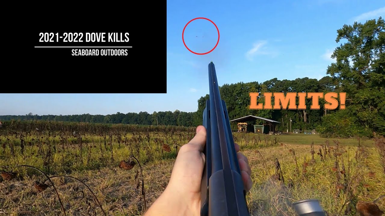 What Gun Do You Dove Hunt With What Gun Do You Dove Hunt With