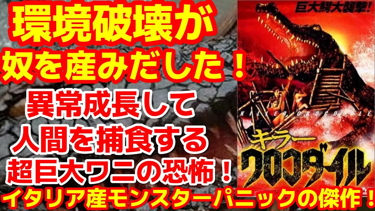 まとめ売り デモンズ バタリアン 洋画 ホラー （VHS 刻める キラー 