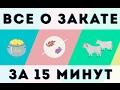 Обязательный «закат»: категории и условия обложения. Инфографика