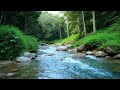 Forest Serenity – Beautiful Enchanted Water River Sound Flowing Gently – Stress Release