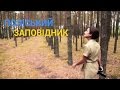 Поліський заповідник - Українська тайга | Україна вражає
