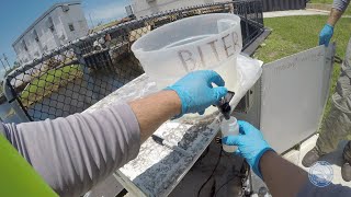 Update: SFWMD Water Quality Monitoring is Key to Restoring the Everglades
