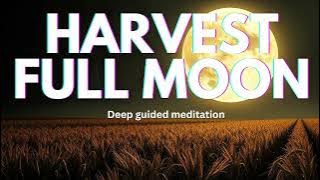🌕 Harvest Moon GUIDED MEDITATION | Gratitude, Release & New Beginnings - october 6th 2025