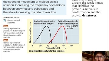 Unit 3   3 1 3 3 Enzymes video