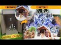 Making Christmas Crib Simple |Snow Crib| Making Nativity Scene | Christmas pulkoodu| Christmas Kudil