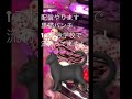 黒猫パンチ