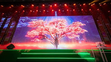 BCA STAGE PERFORMANCE - Laser Mapping Violin | Kangaroo Event