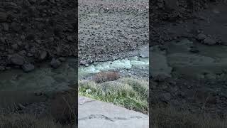 💙 ¡Feliz aniversario, Los Miches!