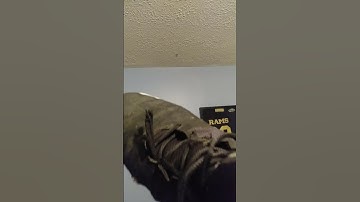 How to kill a spider