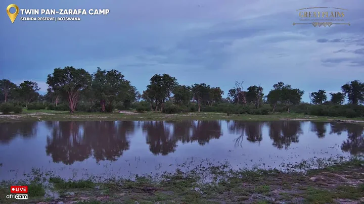 Great Plains TV | Live African Wildlife Stream