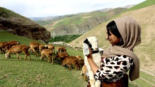 فانوس به یکی از دهکده های زیبایی بدخشان سفر کرده اما به کجا - Badakhshan plus