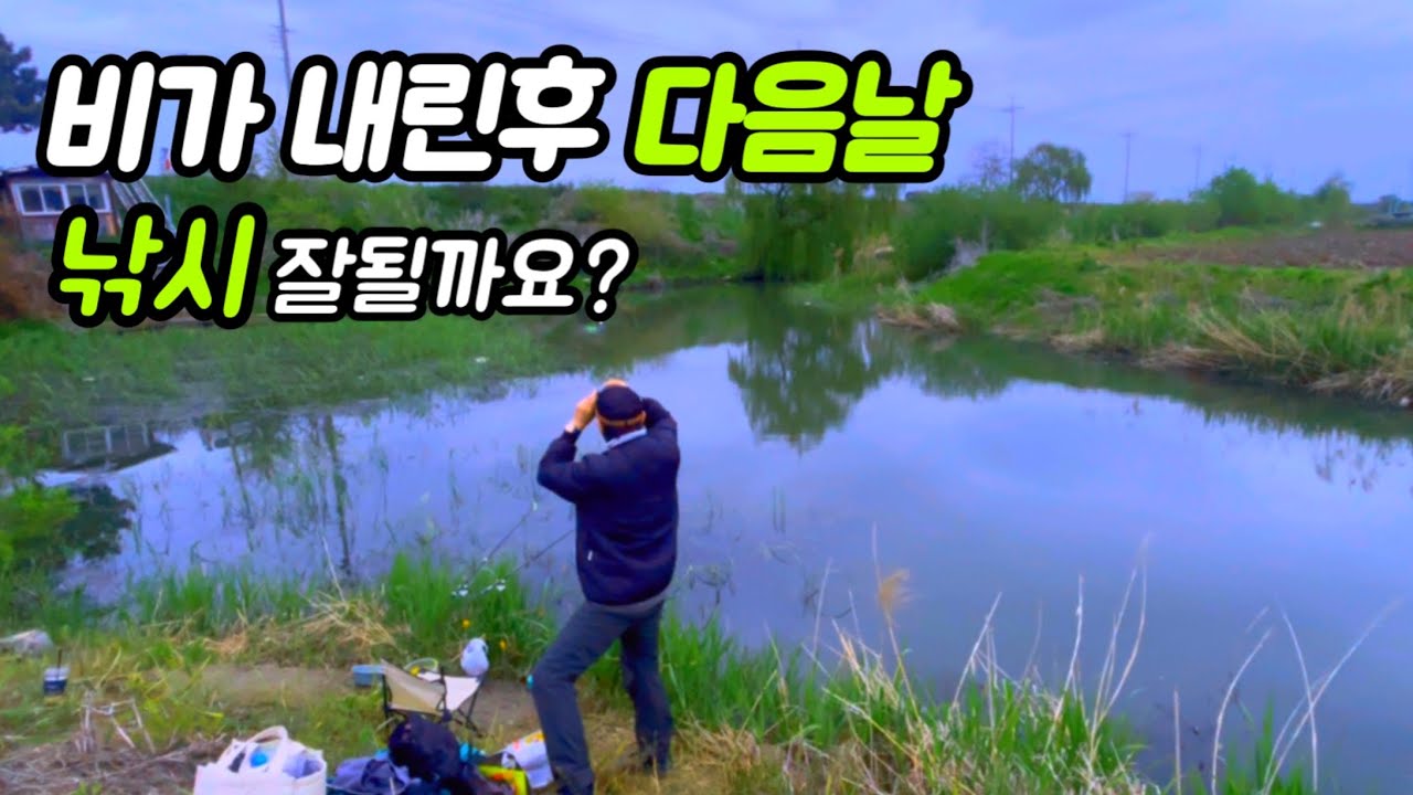 비가 내린후 수로낚시  (서울에서30분)