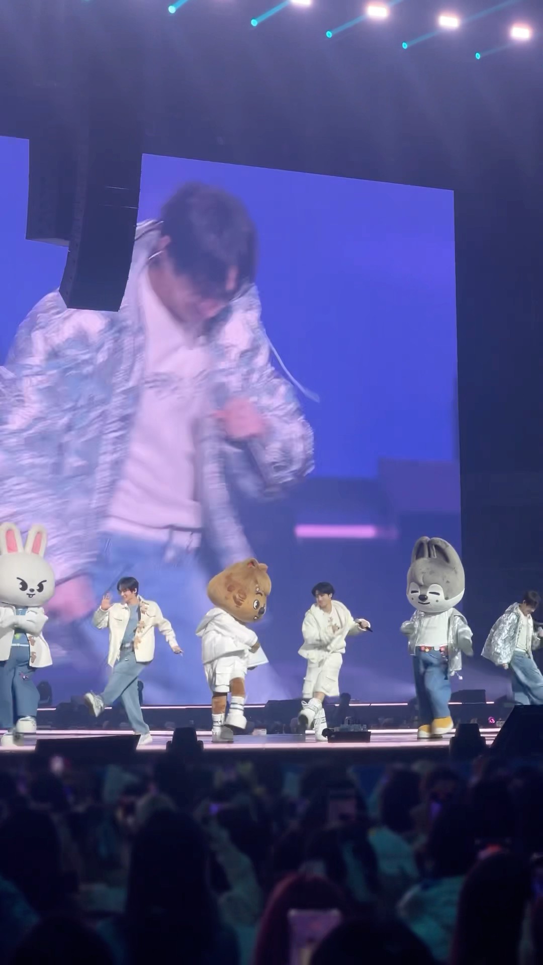 ⋆˙⟡ ??? ?'????? ✧˖° Recap? #StrayKids #스트레이키즈 #SKZOO #스키주 #SKZ_5TH_FANMEETING #SKZ_5CLOCK