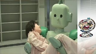 Could the Future of Elderly Care be in the Hands of These Robots?