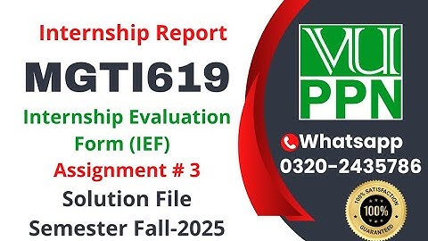 mgti 619 internship report Assignment 3 solution fall 2025 #mgti #619 #internhsip #report