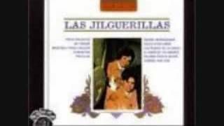 Video thumbnail of "Las jilguerillas-vengo a verte"