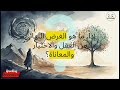 غاية الحياة الربط بين الإيمان والعقل وسؤال الملائكة د جيفري لانغ 