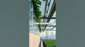 Living Quantum Sensing Redefines Urban Farming