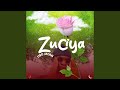 Zuciya