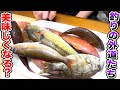 いわゆる雑魚たち！でもあの調理をすると美味しく食べられる？！釣れたらみんなも食べてみてね！