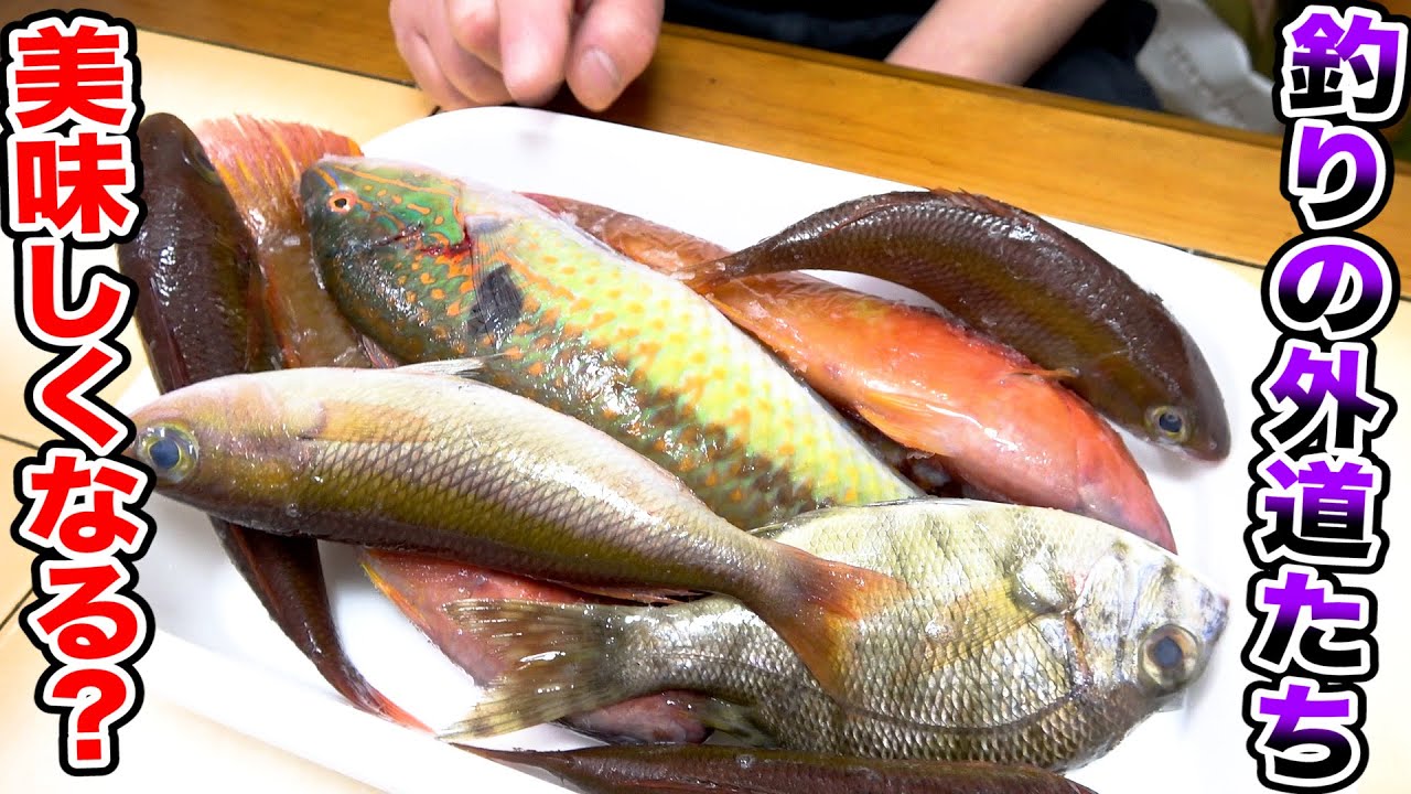 いわゆる雑魚たち でもあの調理をすると美味しく食べられる 釣れたらみんなも食べてみてね Youtube