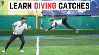 Dive fielding Catch Drills & techniques @cricketmastery