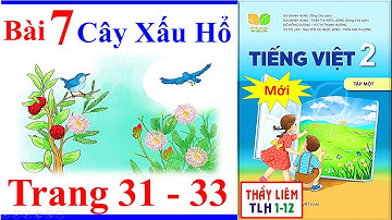 Tiếng Việt Lớp 2 Bài 7 Tuần 4 | Cây Xấu Hổ | Trang 31 - 33 | Kết Nối Tri Thức Mới | sensitive plant