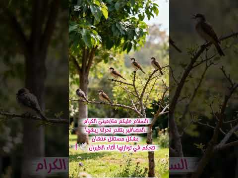 معلومة غريبة عن العصافير هتخليك تندهش        2    