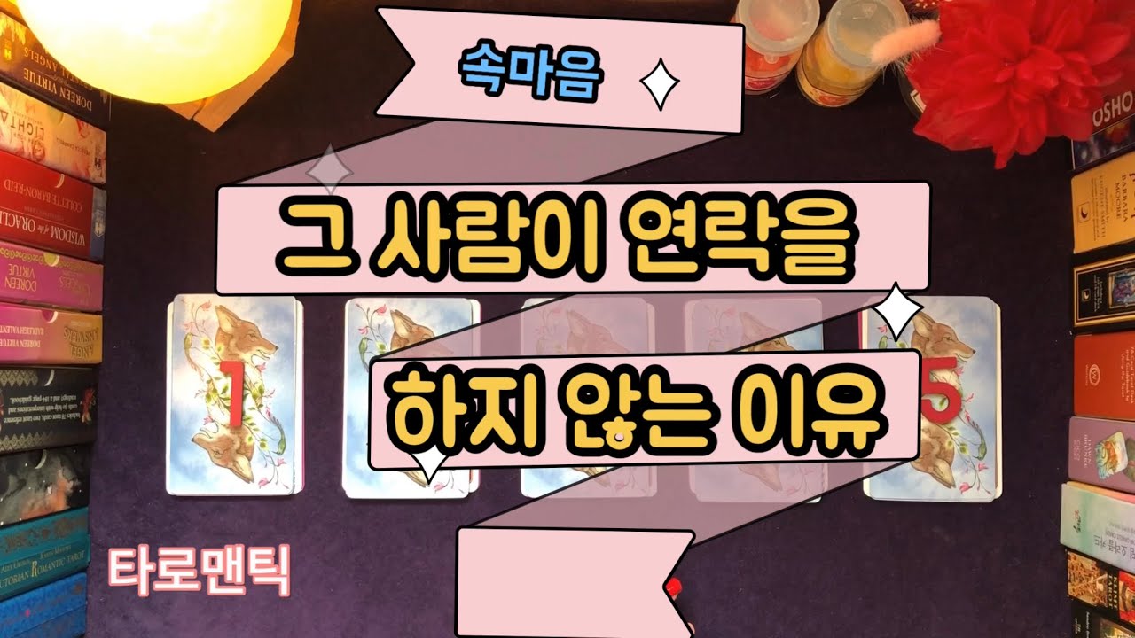 [타로카드/속마음]그 사람이 연락을 하지 않는 이유