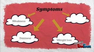 Cysticercosis Awareness Part 1